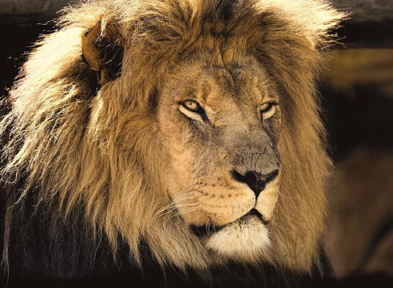 Quais as principais mudanças na tabela IRPF 2023